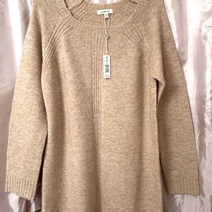 NWT! Large Reglan Knit Tunic